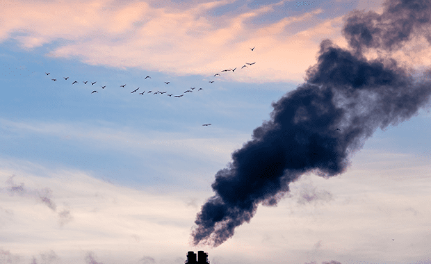 GK Insight_ Domestic Maritime Decarbonisation Consultation analysis